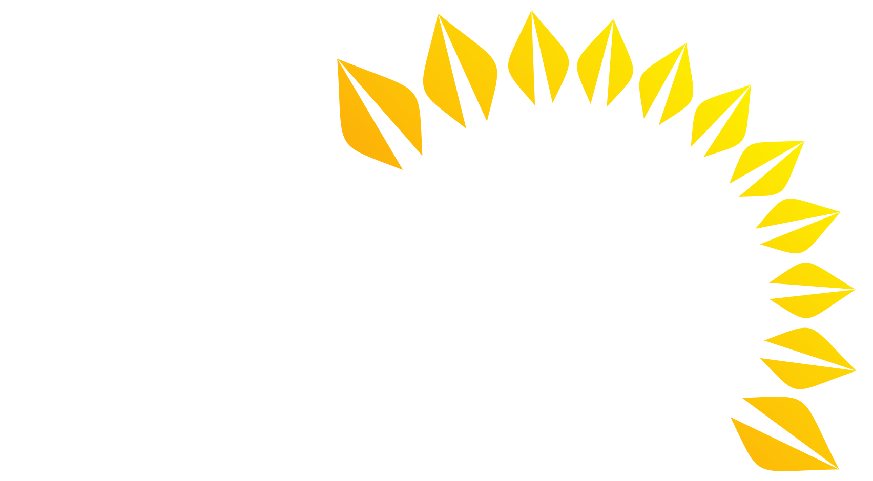 About — SoHo Concessions